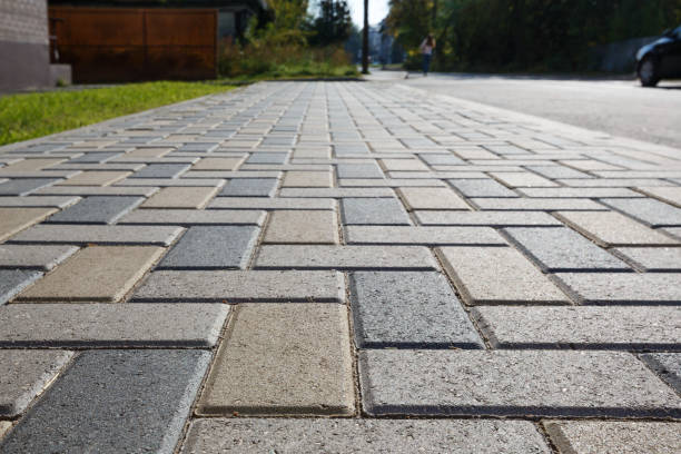 Best Local Driveway Pavers  in Pines Lake, NJ